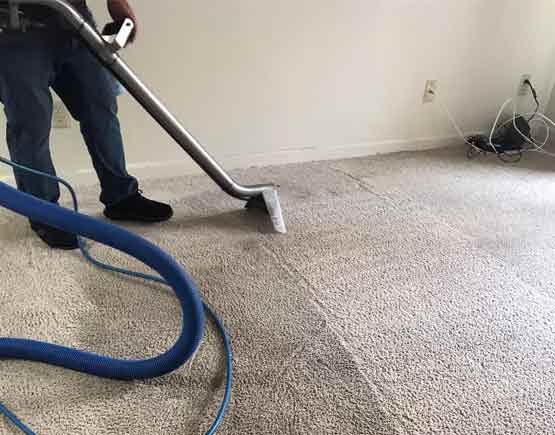  Carpet Cleaning Service 