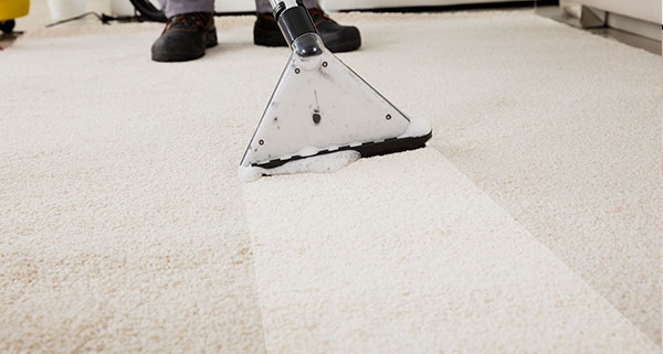 Professional Carpet Cleaning Company